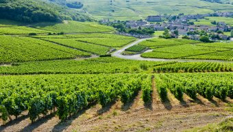 Adventure Vacations For Couples Burgundy Walking Tour