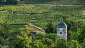 Food and Culinary Tours Burgundy : From Dijon to Beaune