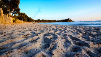 Food and Culinary Tours Walking in the Mediterranean Island - Porquerolles