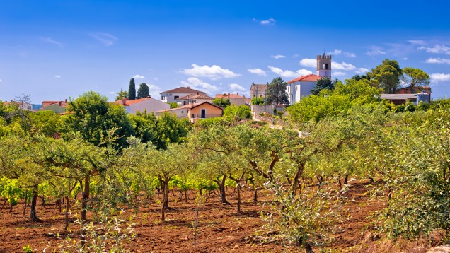 Cycling Through Istria: From Coastal Charms to Inland Treasures