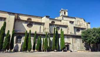 Heritage Tours ViaRhôna (EuroVelo 17) from Montelimar to Avignon