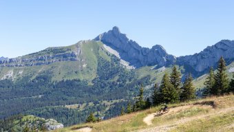 Food and Culinary Tours Hiking in the Vercors Nature Park