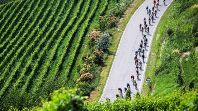 VIP Access - Day on Course - Tour de France - 2025