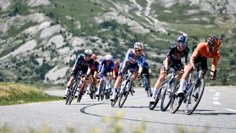 Trek bike tours VIP Cycling Tour - The Grand Final Of The Tour: Alps & Paris - TOUR DE FRANCE - 2025