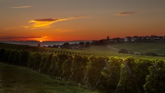 Adventure Vacations For Couples Alsace Wine Route