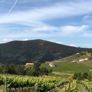 Wine & Cycling Lover's Paradise : Douro Valley by Bike