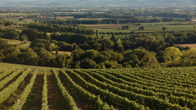 Umbria - From Citta della Pieve to Orvieto