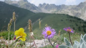 Food and Culinary Tours Alps and French Riviera Walking Tour