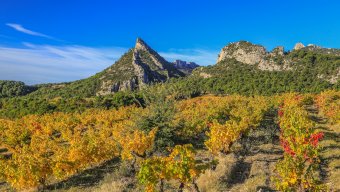 Food and Culinary Tours Walk along the Wine trails of Provence - Châteauneuf-du-Pape