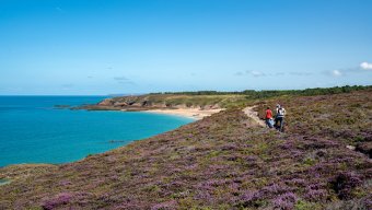 Food and Culinary Tours Brittany Walking Tour